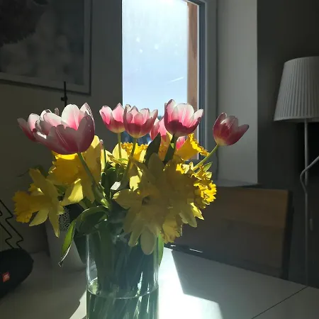 Aparthotel - Luční *